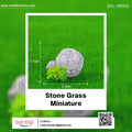 my store MINIATURE Stone Grass