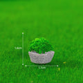 my store MINIATURE Fan-Shaped Brick Grass