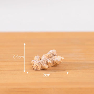 my store MINIATURE Ginger