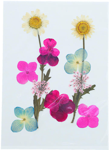 My Store DRY PRESSED FLOWER 10 In 1 Pressed Flowers Fl022