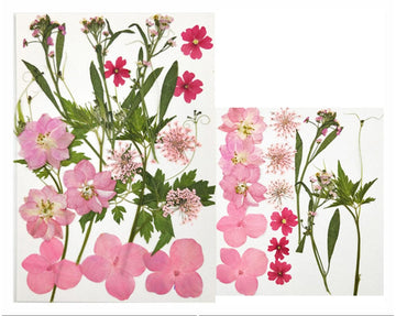 My Store DRY PRESSED FLOWER 18 IN 1 PRESSED FLOWERS FL042