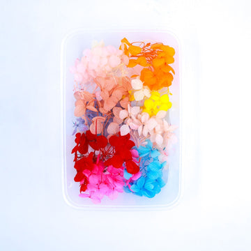 JUST CRAFT IT DRY PRESSED FLOWER MULTI Hydrangea Dry Flower