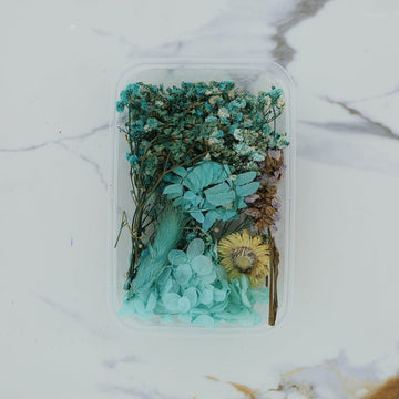 Crafteria 3D Dried Flower Turquoise Theme