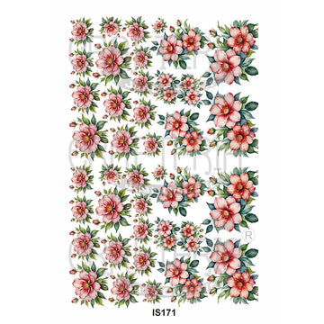 Crafteria Floral Designs Insert Sheet (Transparent Sheet) IS171