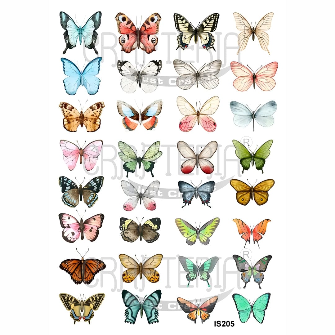 Crafteria Butterfly Designs Insert Sheet (Transparent Sheet) IS205