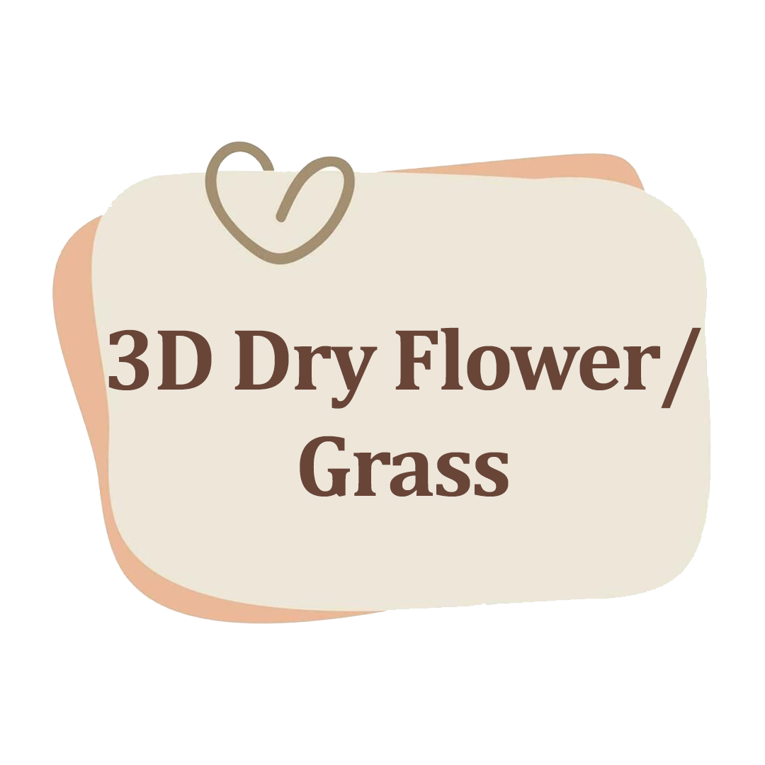 3D Dry Flower/Grass