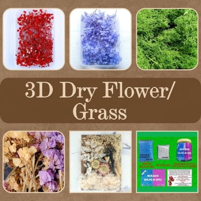 3D Dry Flower/Grass