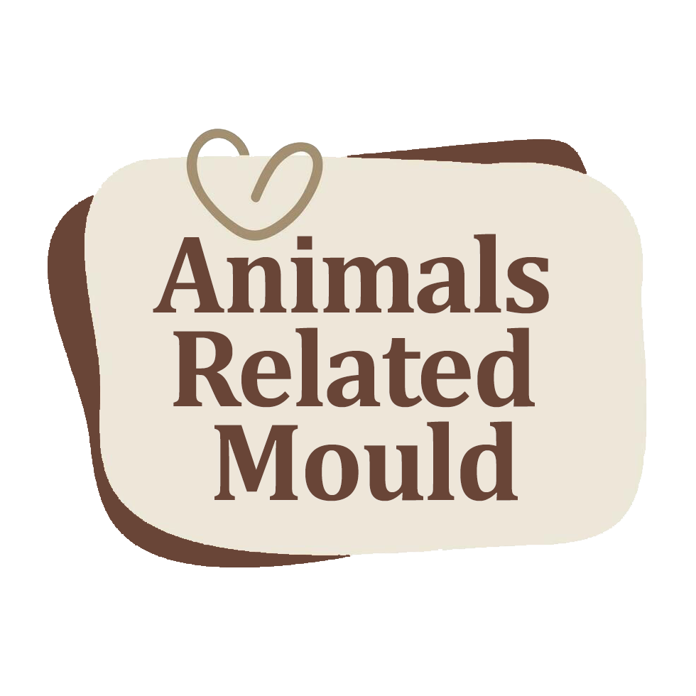 Animals Related mould