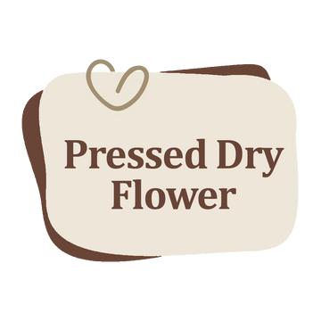 Pressed Dry Flower