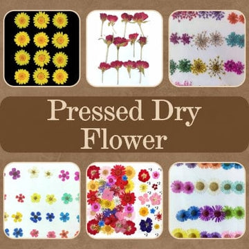 Pressed Dry Flower