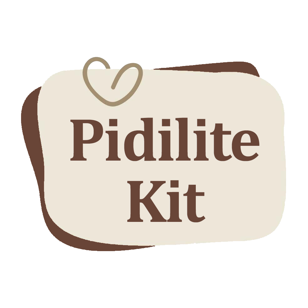 Pidilite Kit