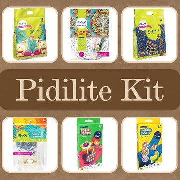 Pidilite Kit