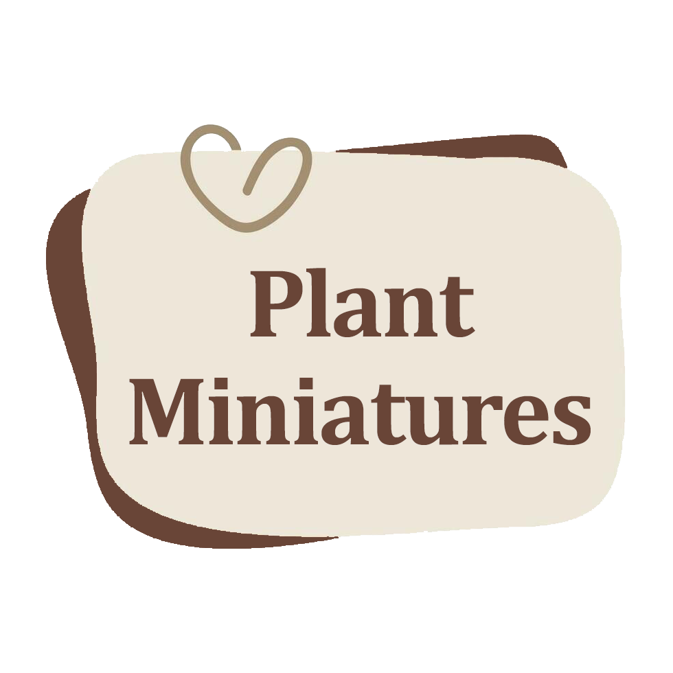 Plant Miniatures
