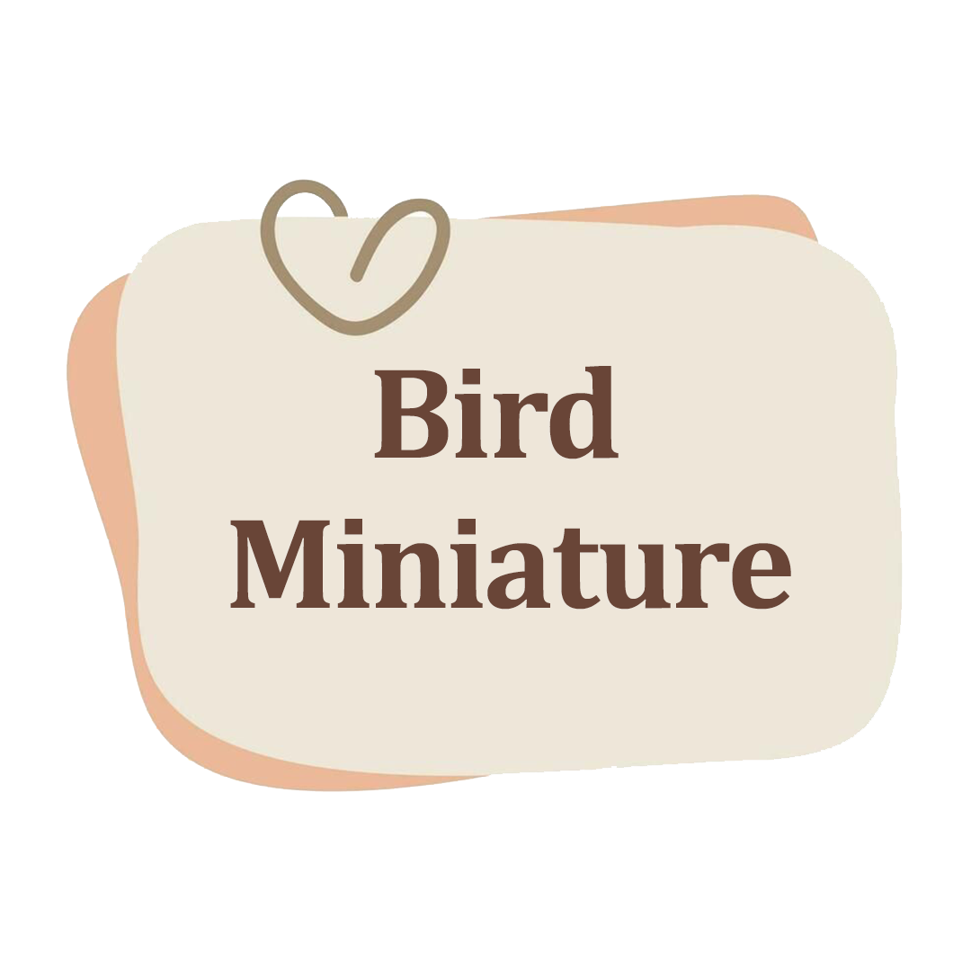 Bird Miniatures