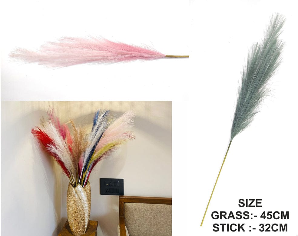 My Store GRASS L.PINK SHADED PAMPAS GRASS