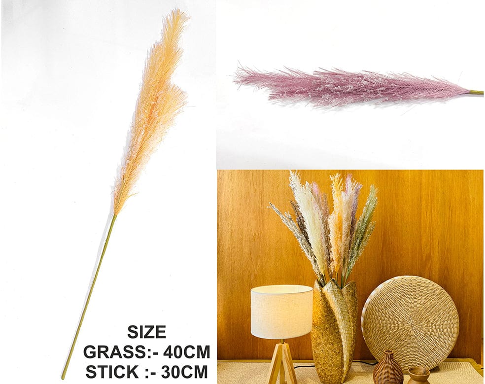 My Store GRASS PINK FATHER PAMPAS GRASS