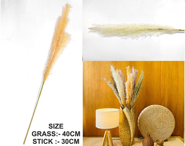 My Store GRASS OFF WHITE FATHER PAMPAS GRASS