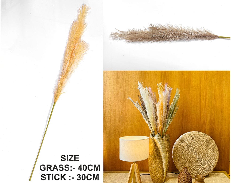 My Store GRASS L.BROWN FATHER PAMPAS GRASS