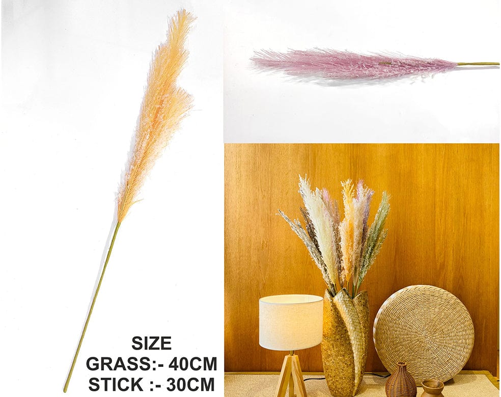 My Store GRASS L.PINK FATHER PAMPAS GRASS