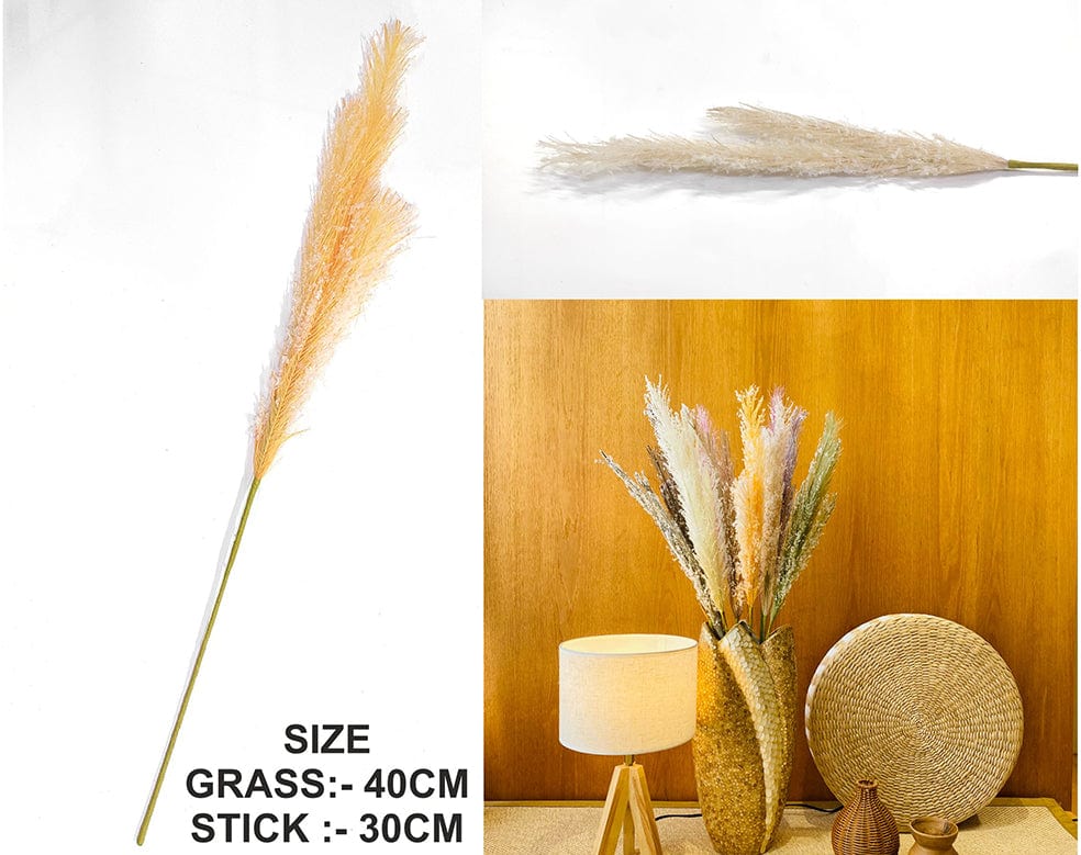 My Store GRASS L.CREAM FATHER PAMPAS GRASS