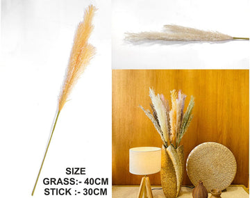 My Store GRASS L.CREAM FATHER PAMPAS GRASS