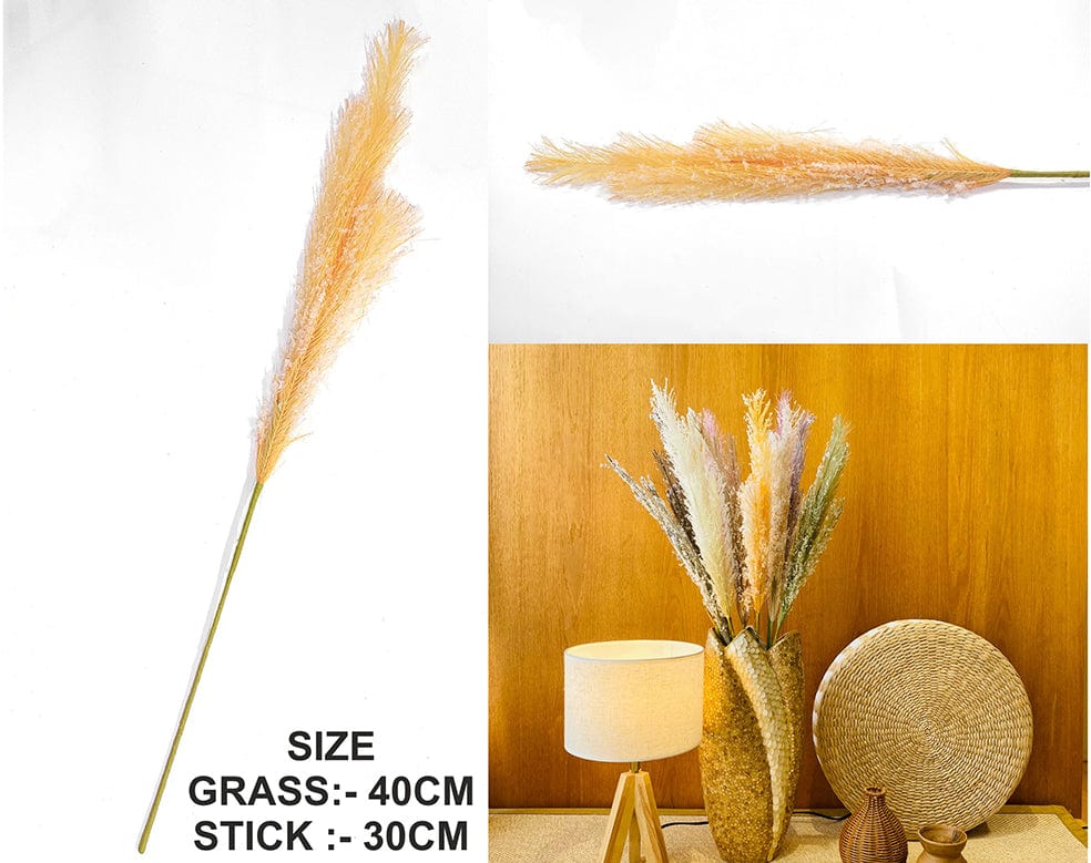 My Store GRASS ORANGE FATHER PAMPAS GRASS