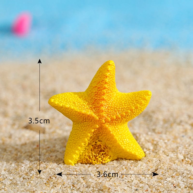 my store MINIATURE STARFISH - A MINIATURE