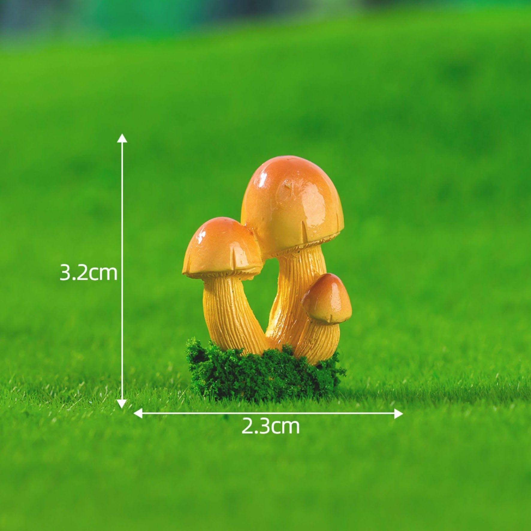 Mushrooms Miniature