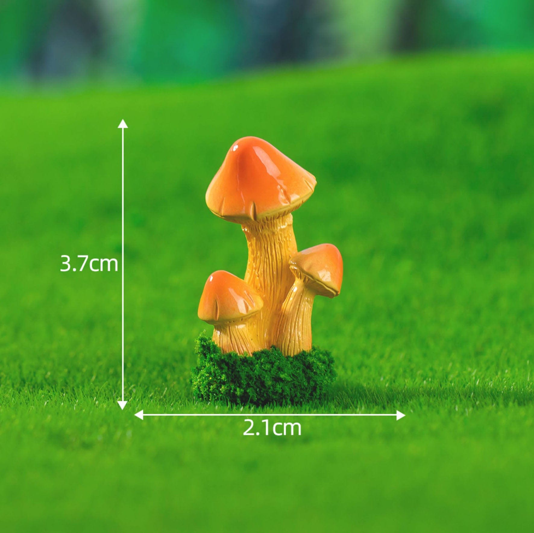 Orange Mushrooms