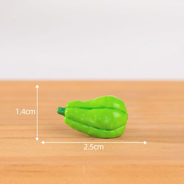 my store MINIATURE Chayote