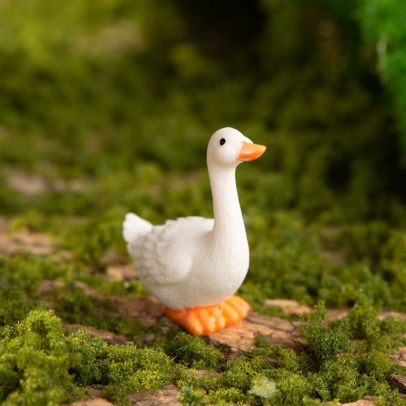 my store MINIATURE Duck
