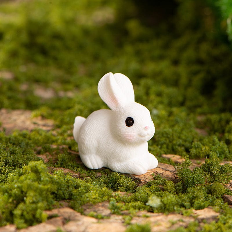 my store MINIATURE Rabbit