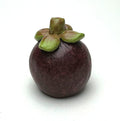 Crafteria 24 Fruit Miniature Serius