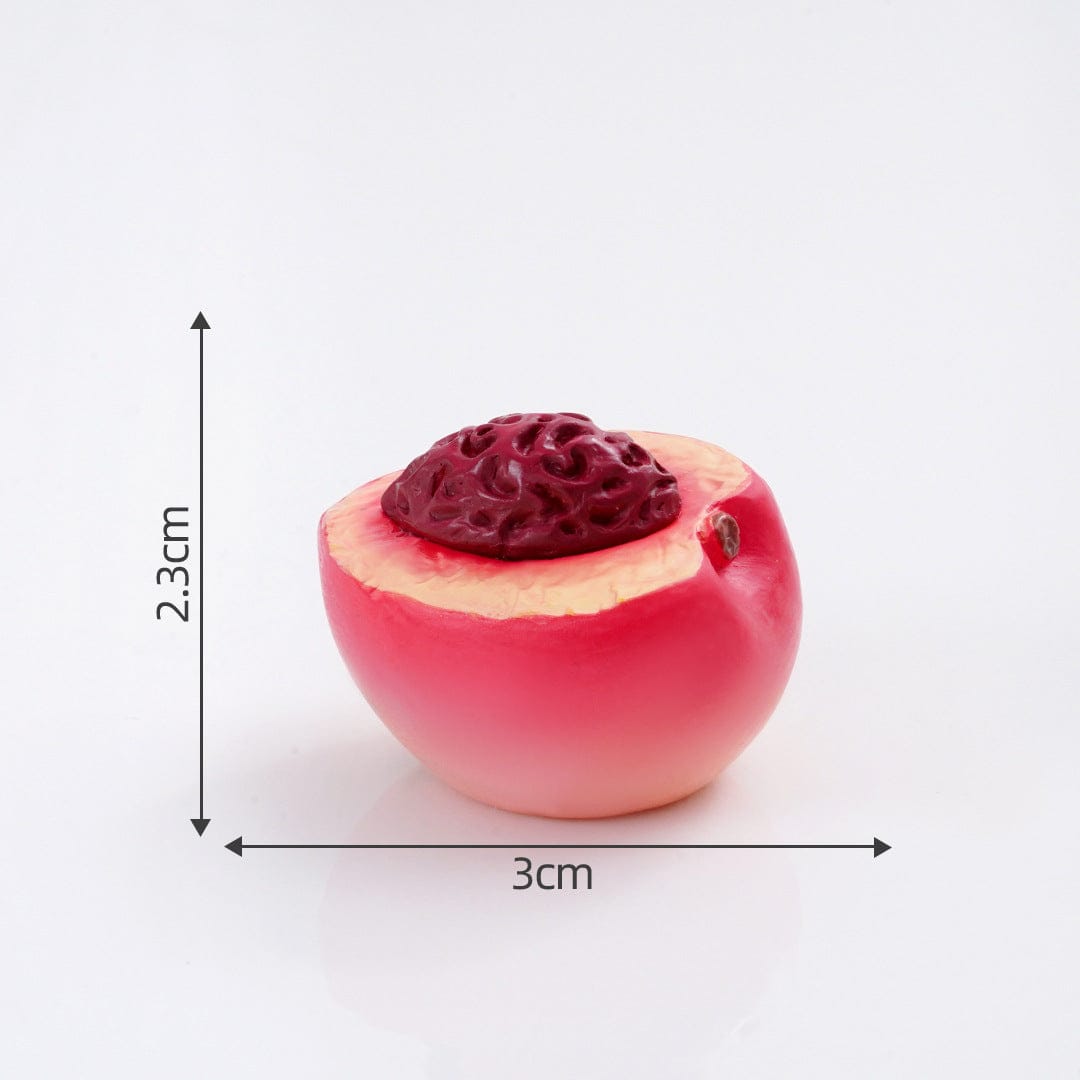 Crafteria Half-Peel The Peach (4Pcs) Fruit Miniature Series