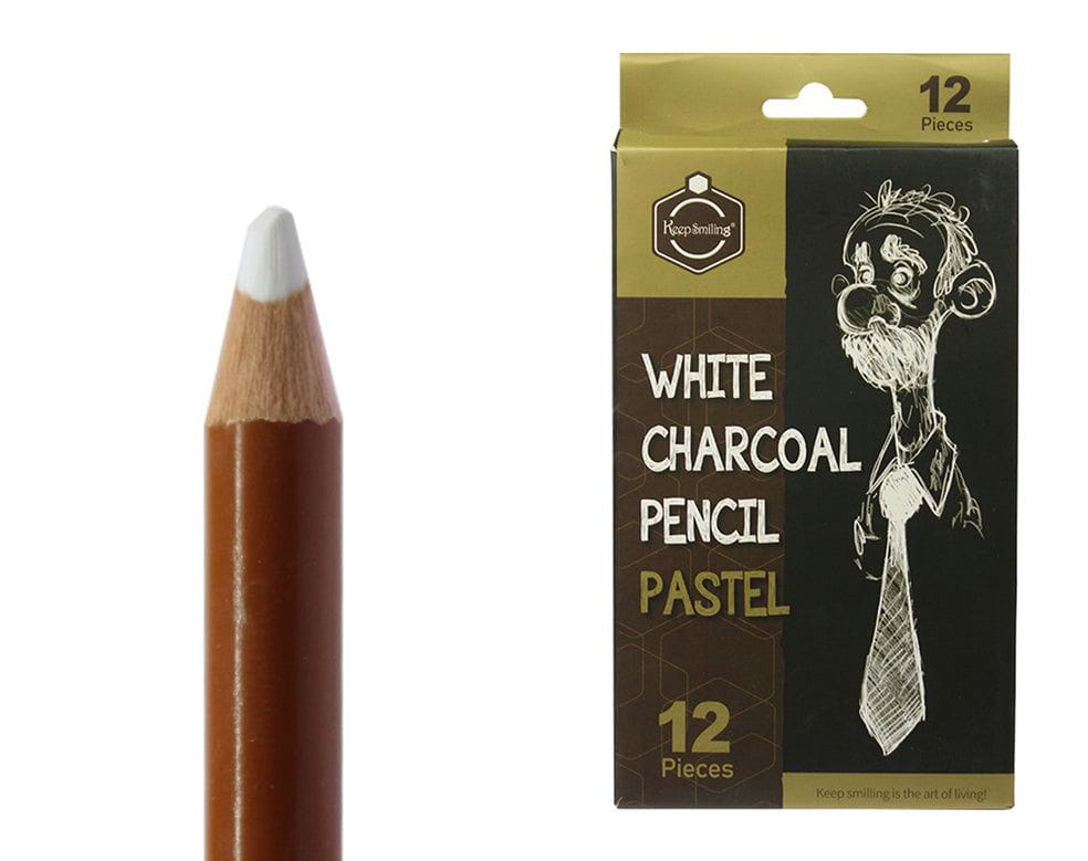 My Store PAINTING BRUSH 12 PC WHITE CHARCOAL PENCIL SET