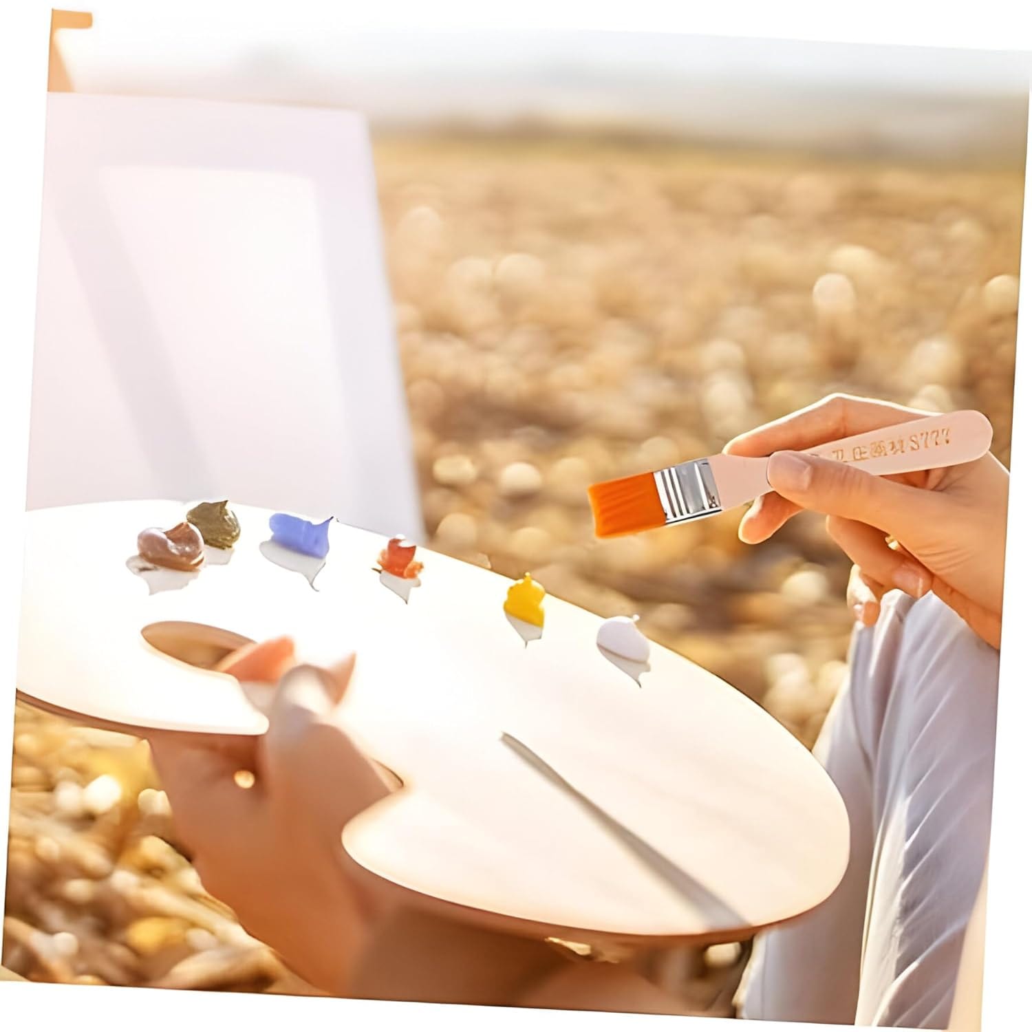 My Store PAINTING ACC 3Pc Wash Brush
