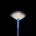 Crafteria Fan Makeup Art Brush