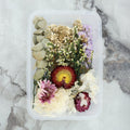 Crafteria 3D Dry Flower Random Colour
