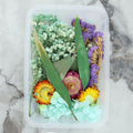 Crafteria 3D Dry Flower Random Colour