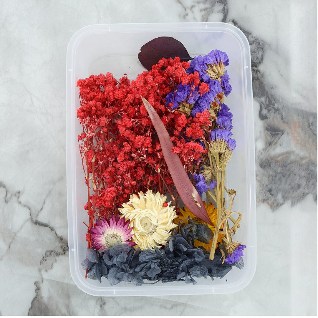 Crafteria 3D Dry Flower Random Colour
