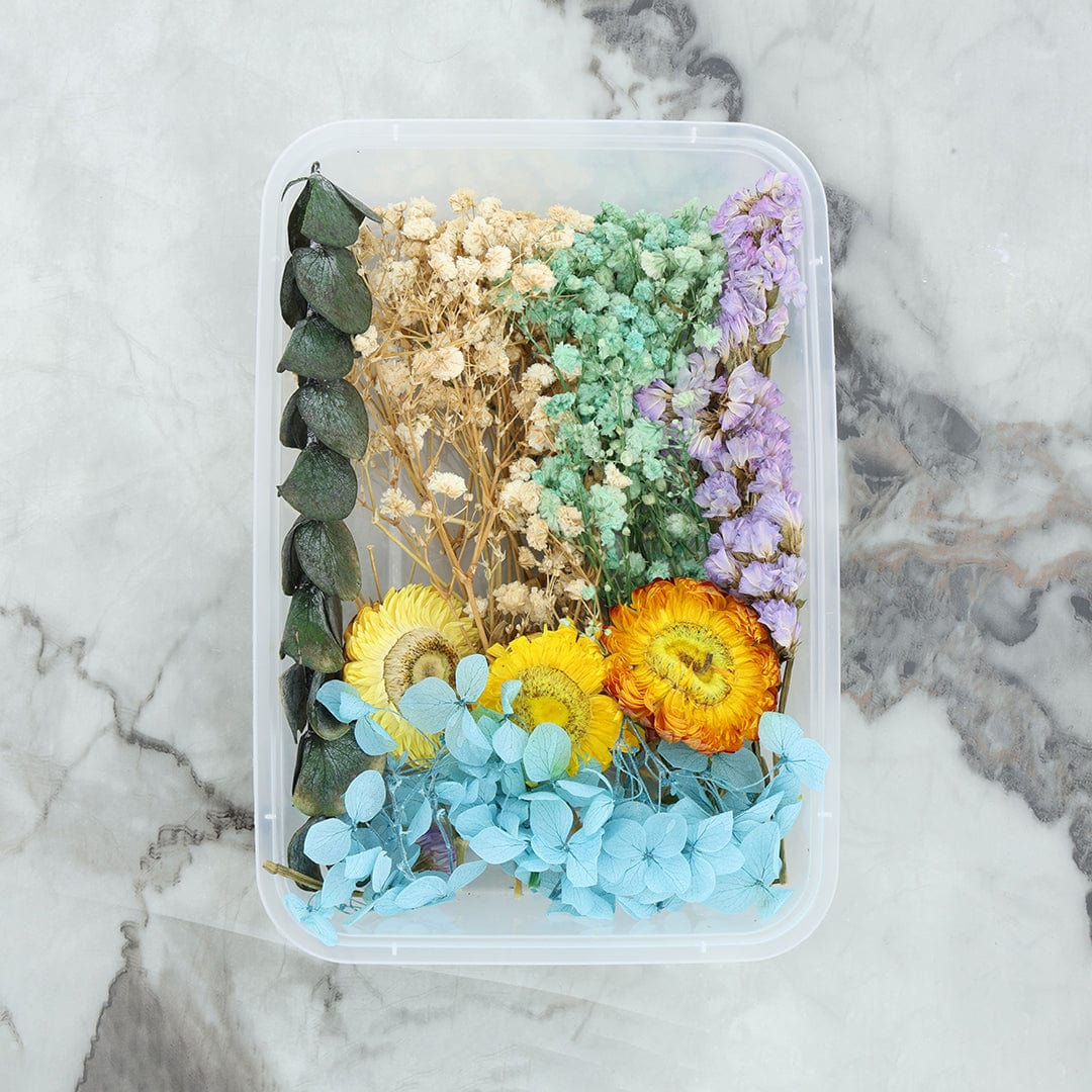 Crafteria 3D Dry Flower Random Colour