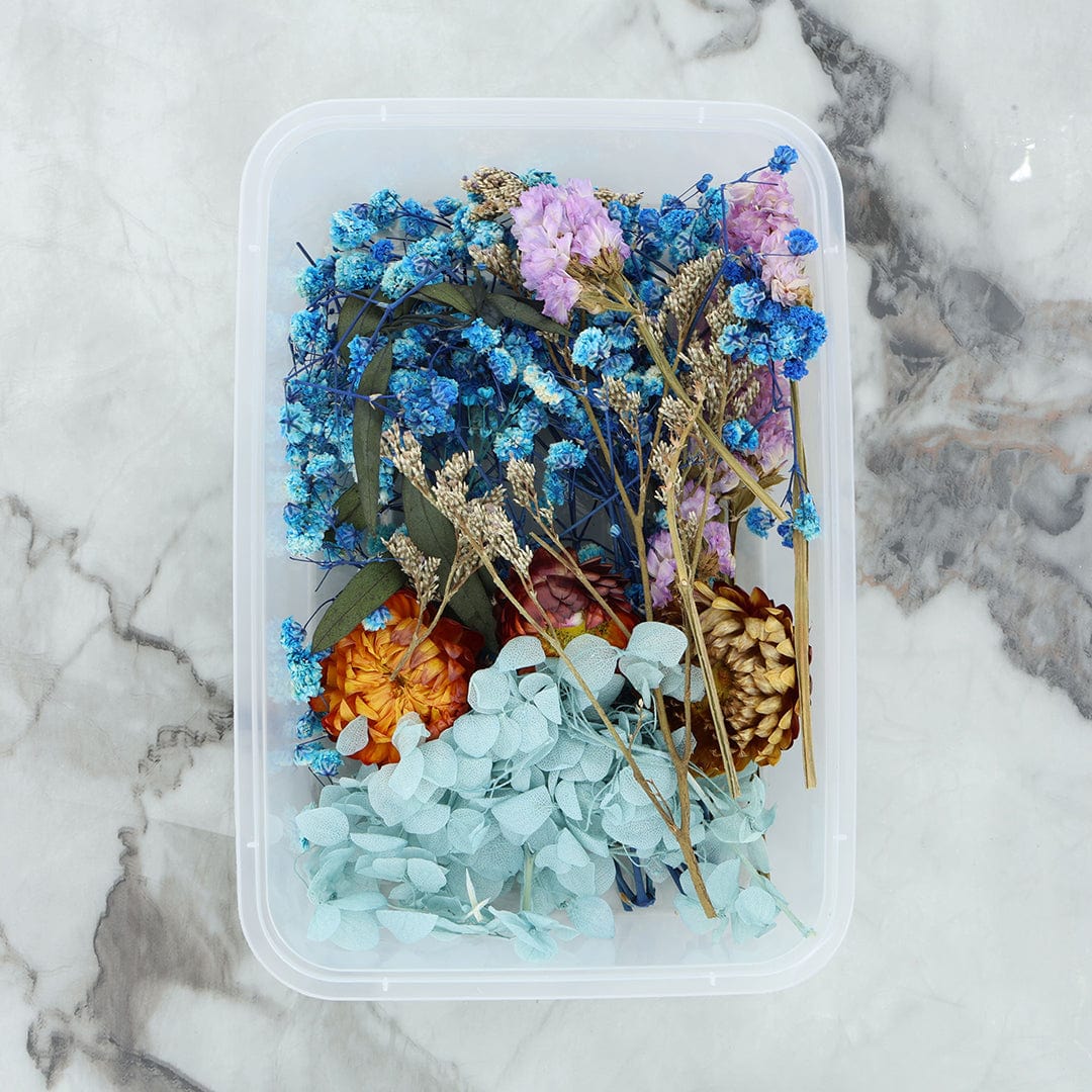Crafteria 3D Dry Flower Random Colour
