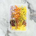Crafteria 3D Dry Flower Random Colour