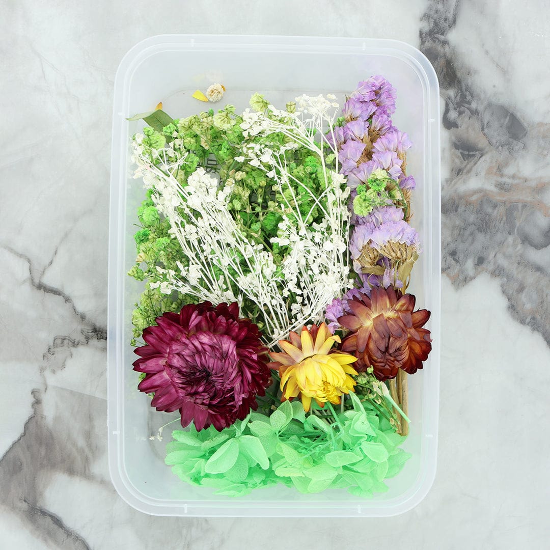 Crafteria 3D Dry Flower Random Colour