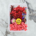 Crafteria 3D Dry Flower Random Colour