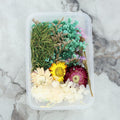 Crafteria 3D Dry Flower Random Colour
