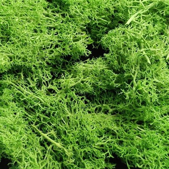 Crafteria GREEN MOSS