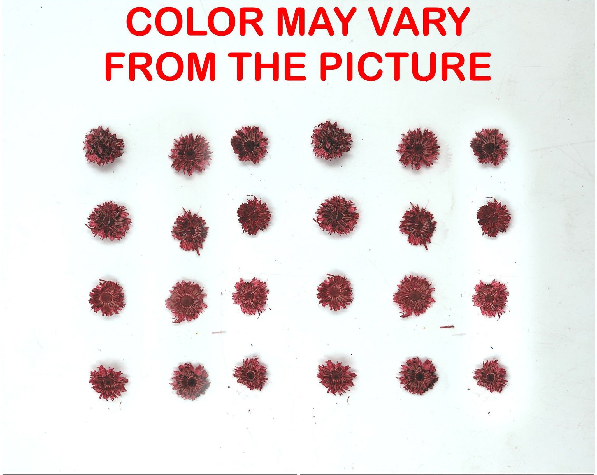 My Store NATURAL FLOWER MINI RED DRIED SUN FLOWER