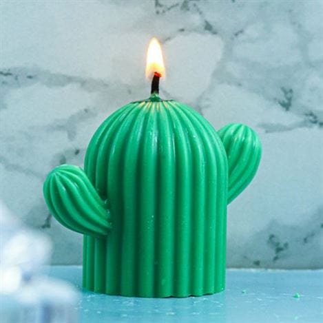 My Store Silicon Mould CACTUS CANDLE MOULD