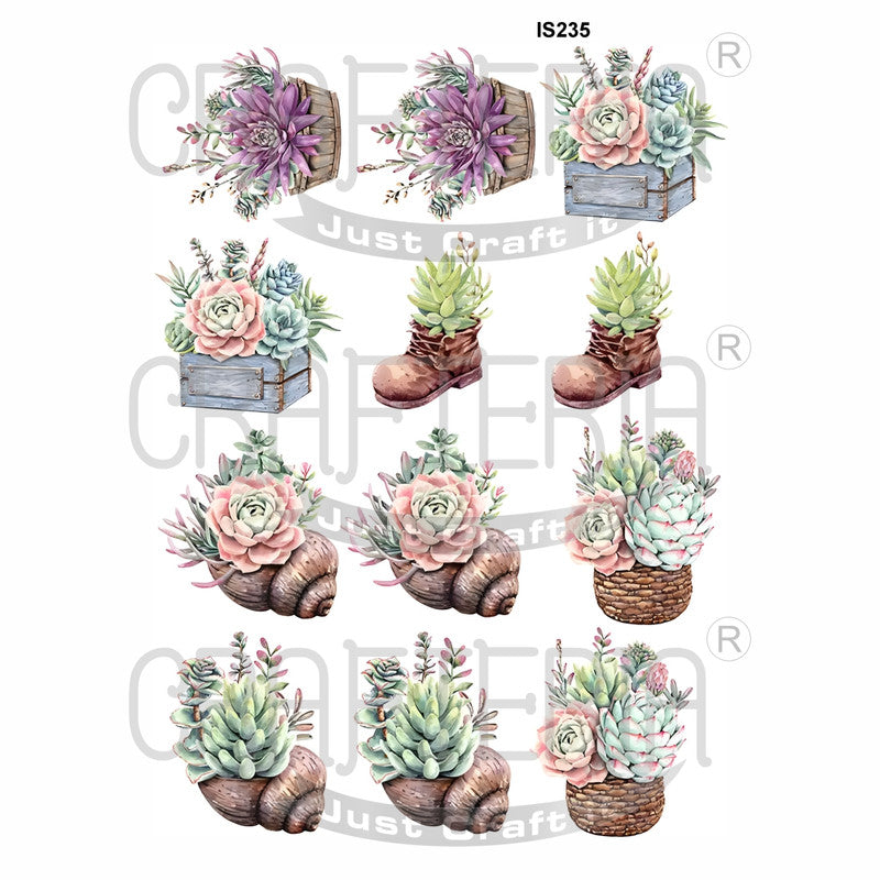Plant Designs Insert Sheet (Transparent Sheet) IS235